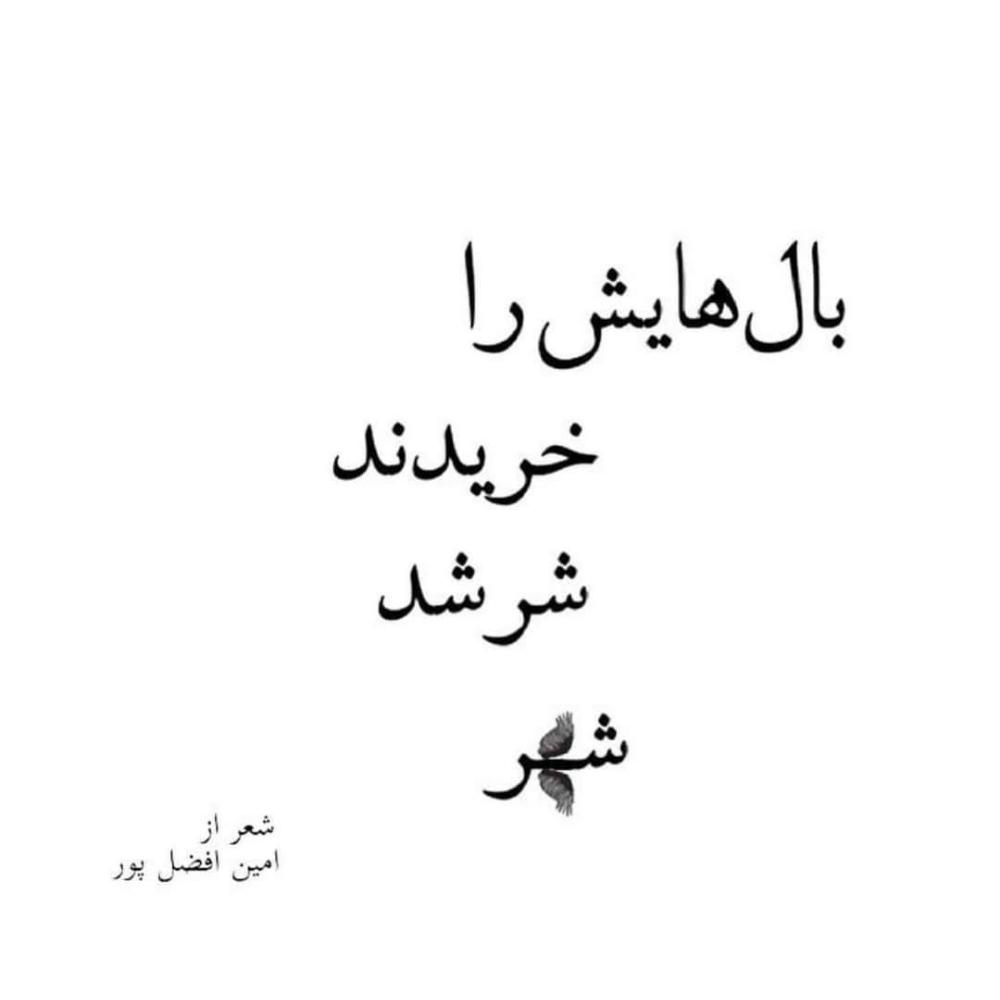 شهر - چکاوا